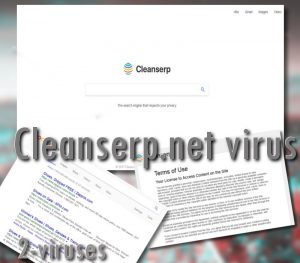 virus Cleanserp.net